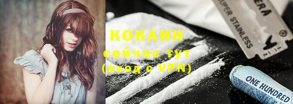 шишки Магас