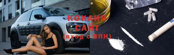 шишки Магас