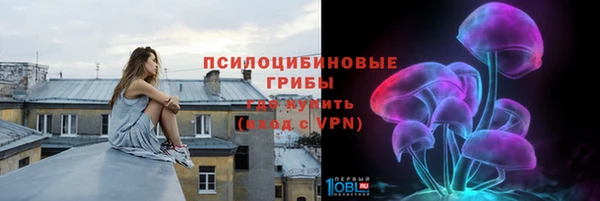 шишки Магас