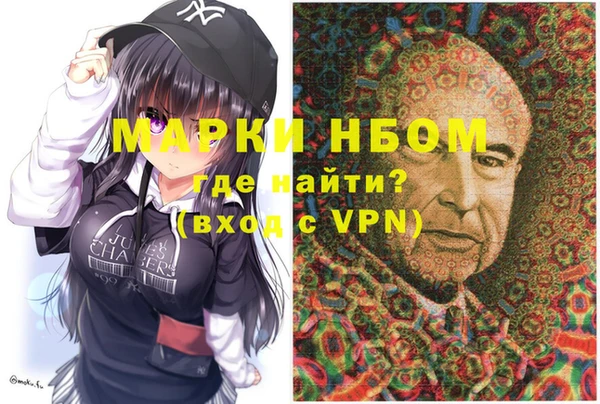 шишки Магас