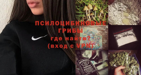 шишки Магас