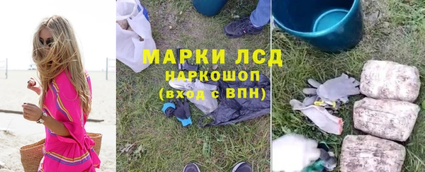 шишки Магас