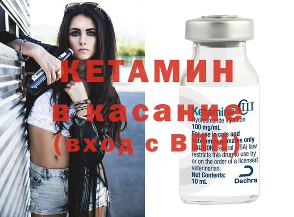 шишки Магас