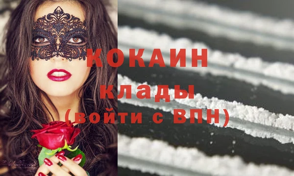 прущие грибы Киров