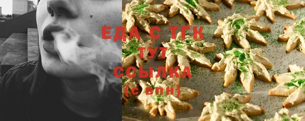 шишки Магас