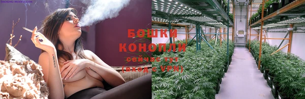 шишки Магас