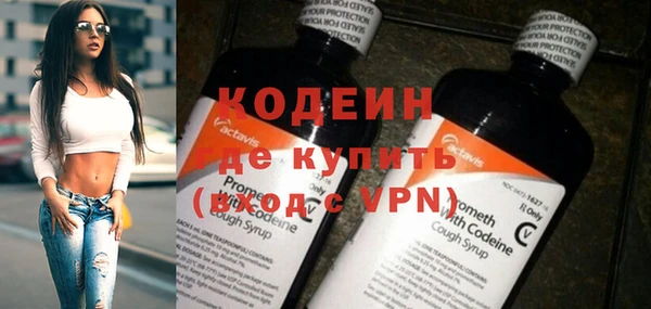 шишки Магас