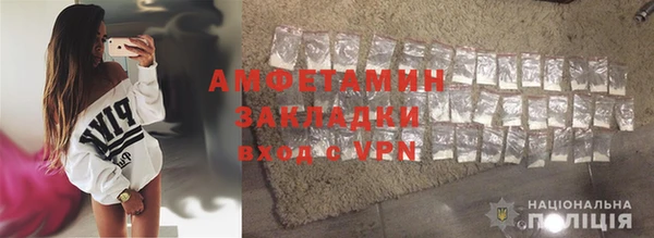 шишки Магас