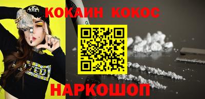 индика Камышлов