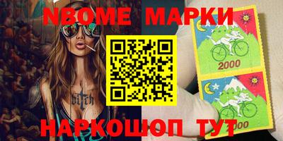 индика Камышлов