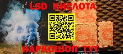 индика Камышлов