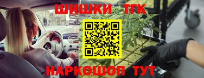 индика Камышлов