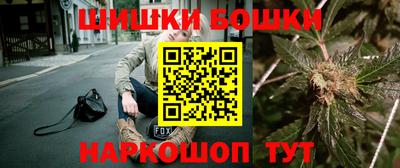 индика Камышлов