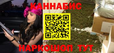 индика Камышлов