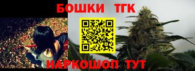 индика Камышлов