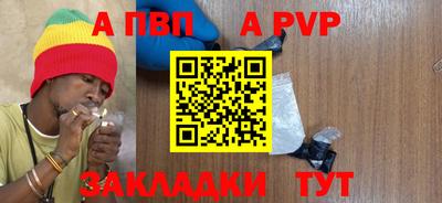индика Камышлов