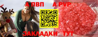 индика Камышлов