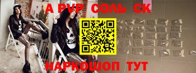 индика Камышлов